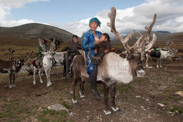 mongolia_reindeer_tribe_8