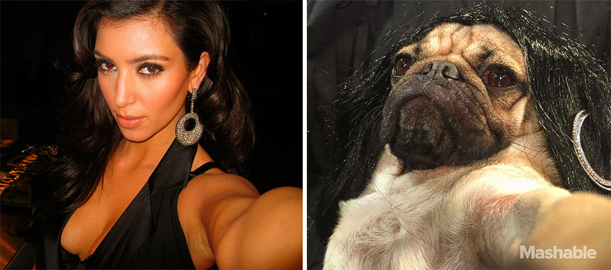 doug-the-pug-recreates-kim-kardashian-selfies-3