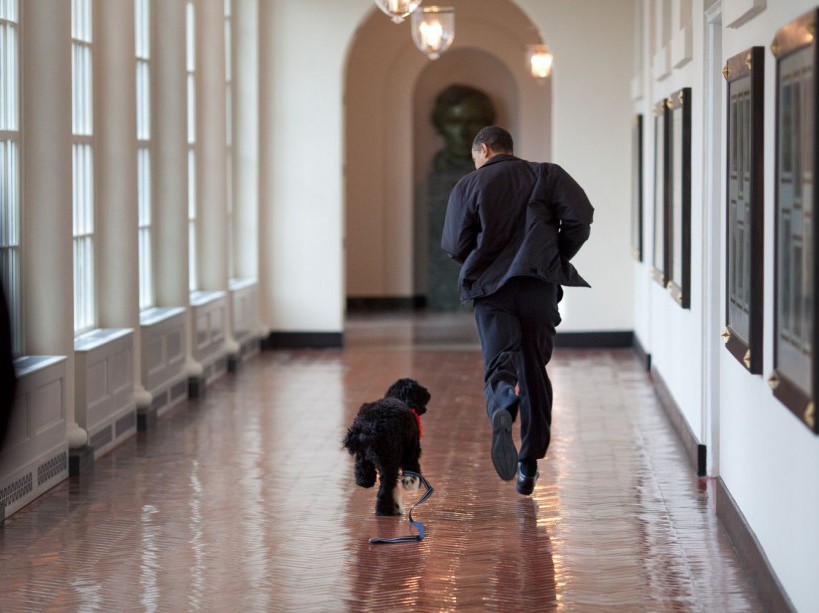 President Barack Obama runs down the East Colonnade with family dog "Bo." 3/15/09 Official White House Photo by Pete Souza