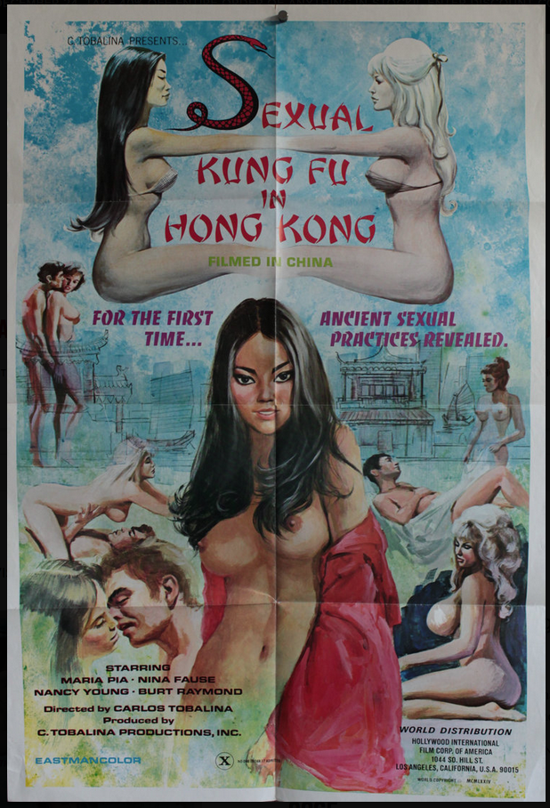 golden-age-of-porno-movie-posters-7